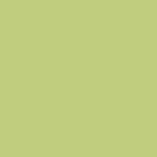 Afnor A480 - Vert Jaune Clair Paint