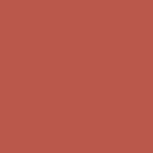 British Standard BS 1-023 Paint