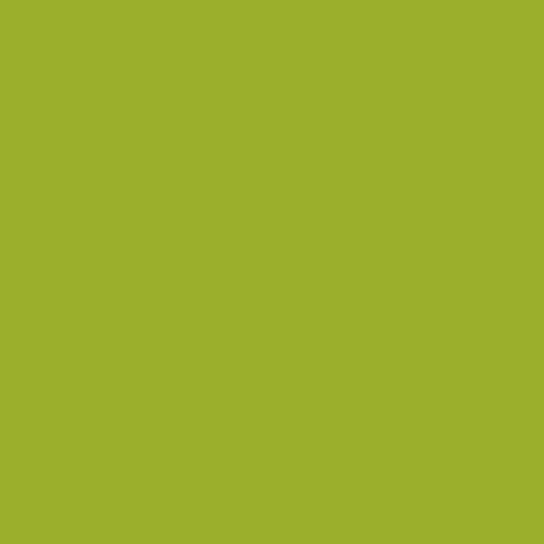 Dulux Trade 89yy 38/628 - Indian Ivy 3 Paint