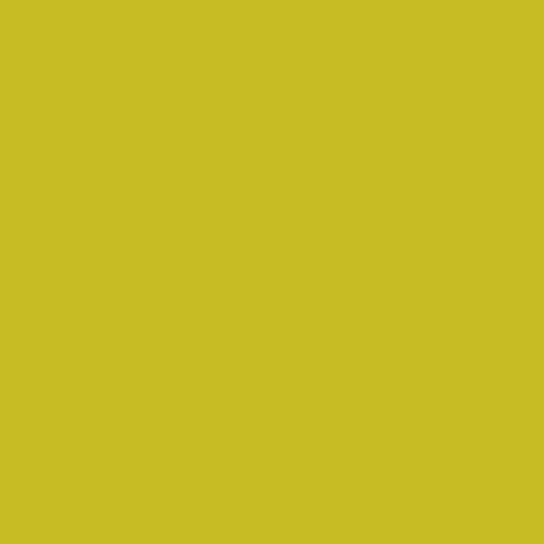 Master Chroma Cg6120 - Green 6120 Paint