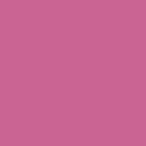 Master Chroma Cv4295 - Violet 4295 Paint
