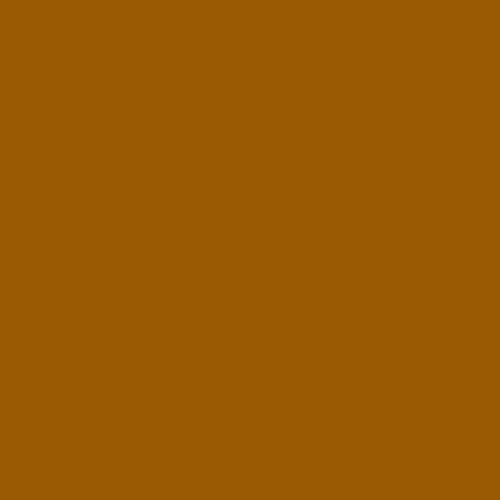 Pantone 154 Paint