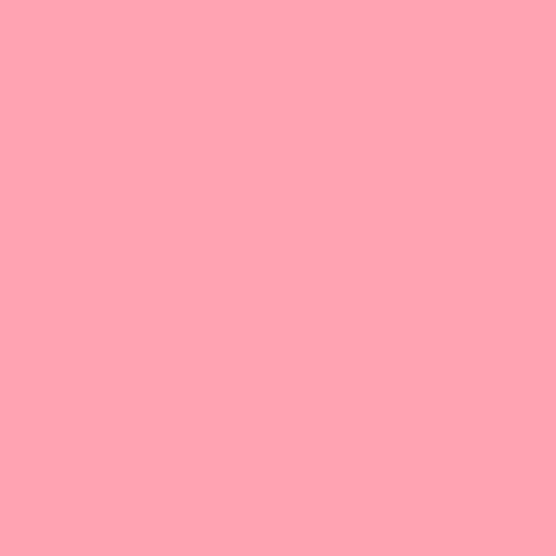 Pantone 189 Paint