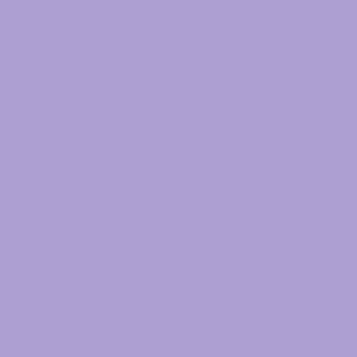 Pantone 2705 Paint