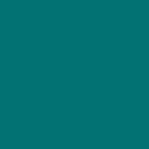 Pantone 322 Paint