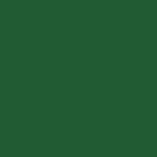 Pantone 357 Paint