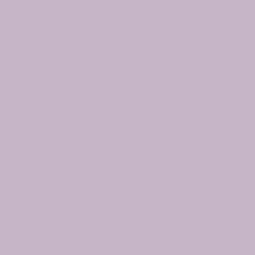 Pantone 665 Paint