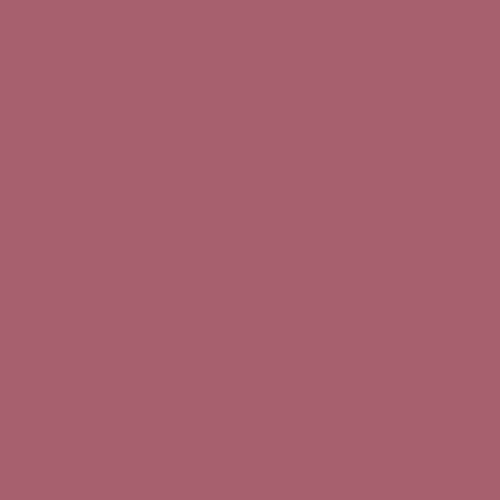 RAL 010 50 30 Paint