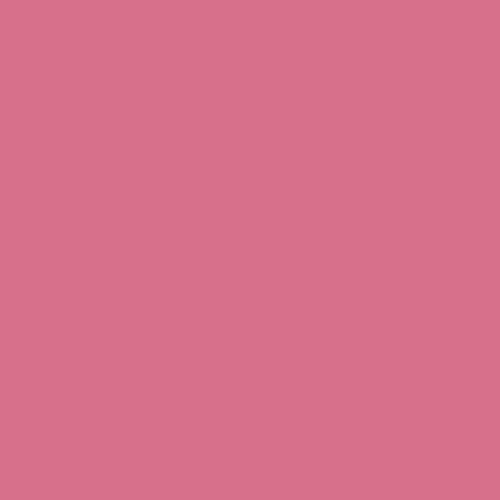 RAL 010 60 40 Paint