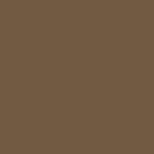 RAL 070 40 20 Paint