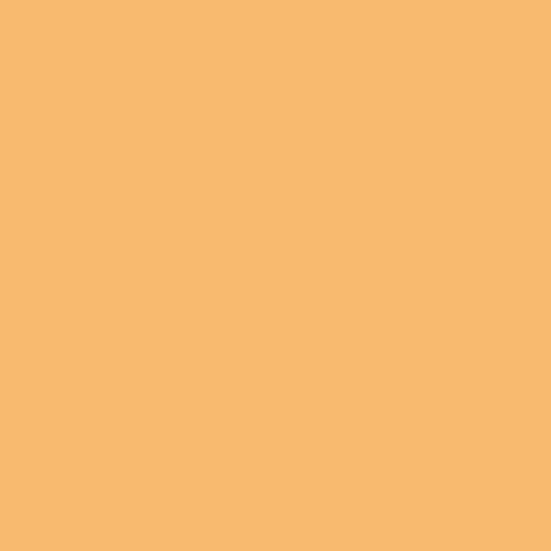 RAL 070 80 50 Paint