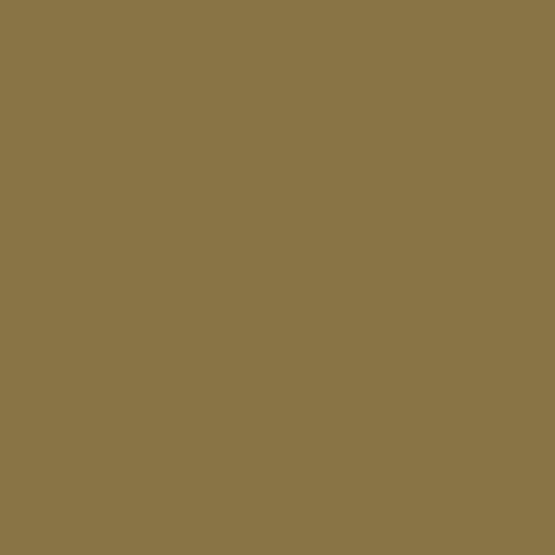 RAL 085 50 30 Paint