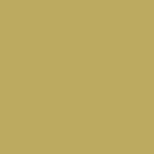 RAL 090 70 40 Paint