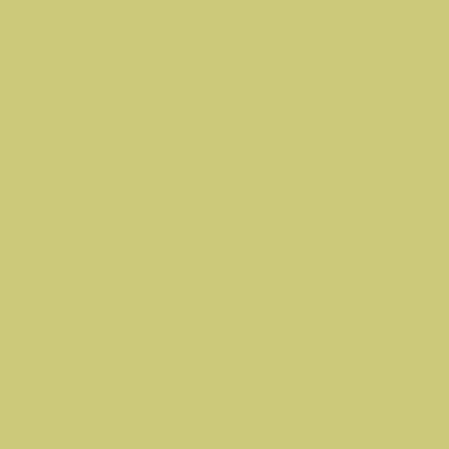 RAL 100 80 40 Paint