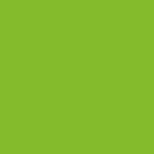 RAL 120 70 70 Paint