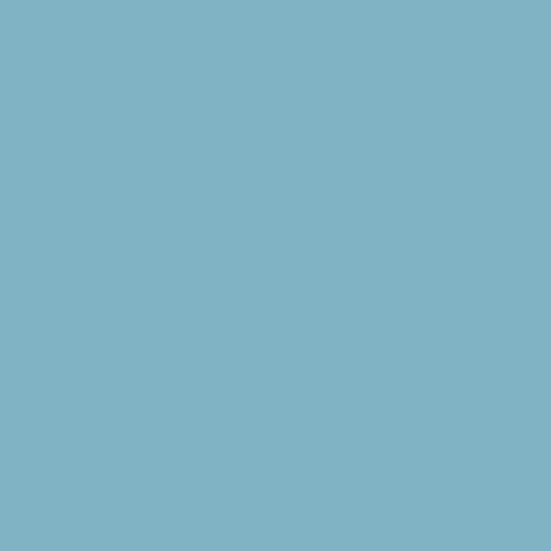RAL 220 70 20 Paint