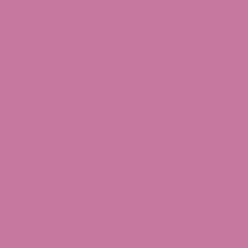 RAL 350 60 35 Paint