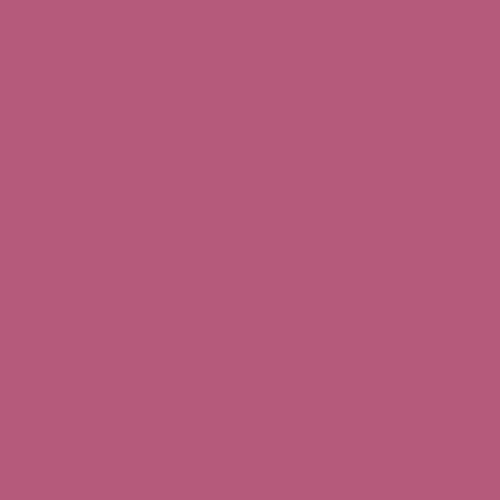 RAL 360 50 40 Paint