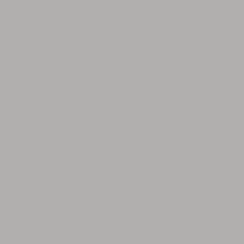 Image of British Standard BS 4800 - 00 A 05 Paint
