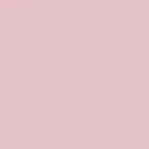 Image of British Standard BS 4800 - 02 C 33 Paint