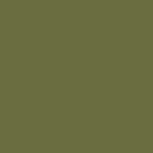 Image of British Standard BS 4800 - 12 D 45 Paint