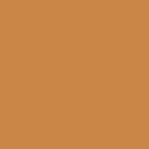 Image of BS 5252 06 D 43 Paint