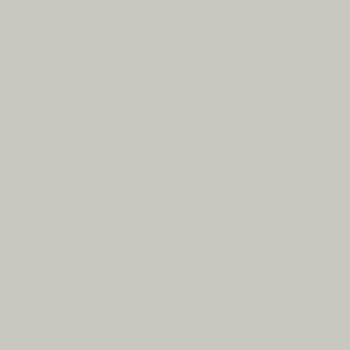 Image of BS 5252 10 A 03 Paint