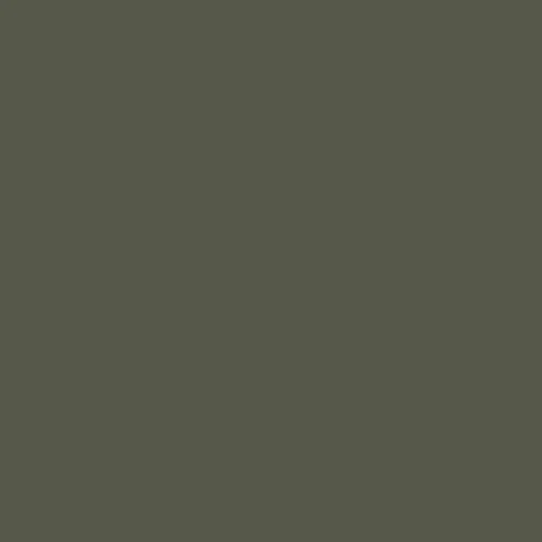 Image of BS 5252 12 B 27 Paint