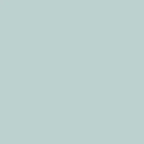 Image of BS 5252 18 C 33 Paint