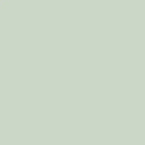 Image of Dulux Trade 50gy 65/084 - Woodland Pearl 5 Paint