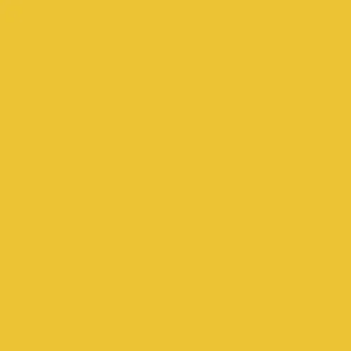 Image of Federal Standard 595 A-13591 - Yellow Paint