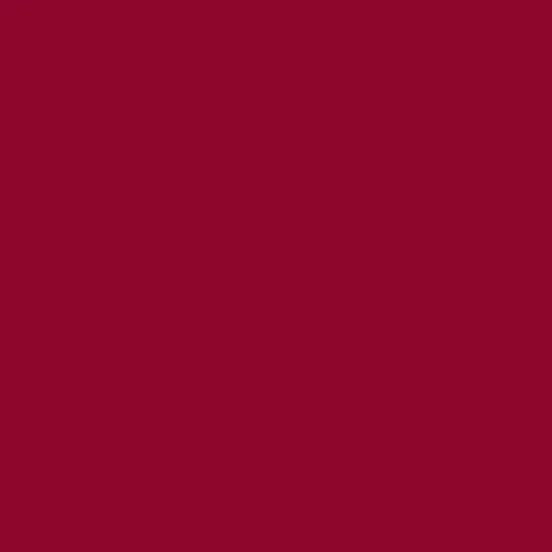 Image of Master Chroma Cv4245 - Violet 4245 Paint