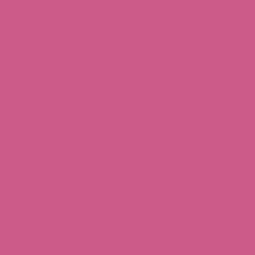 Image of Master Chroma Cv4325 - Violet 4325 Paint