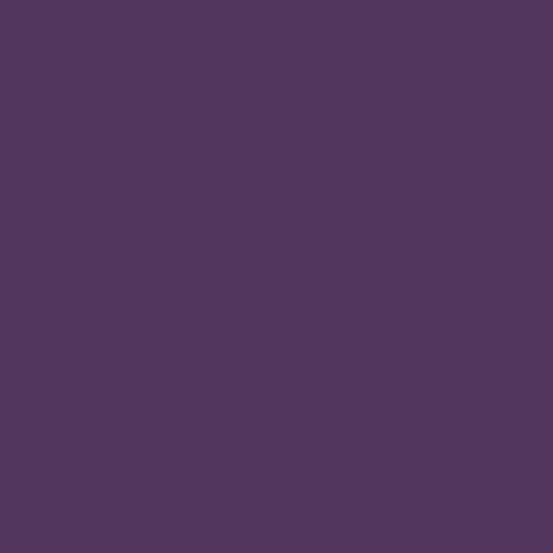 Image of Master Chroma Cv4455 - Violet 4455 Paint