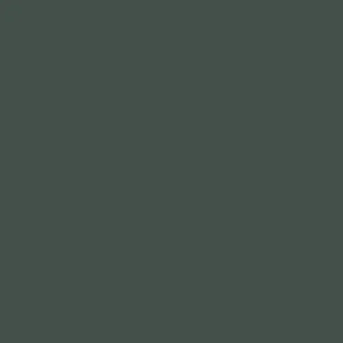 Image of Master Chroma Isofan - G6445 - Green Paint