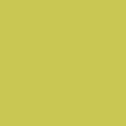 Image of Master Chroma Isofan - G6564 - Green Paint