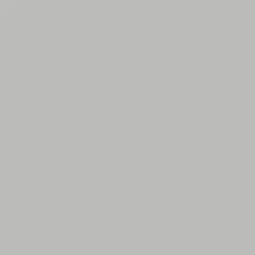 Image of Master Chroma Isofan - N9184 - Neutral Paint
