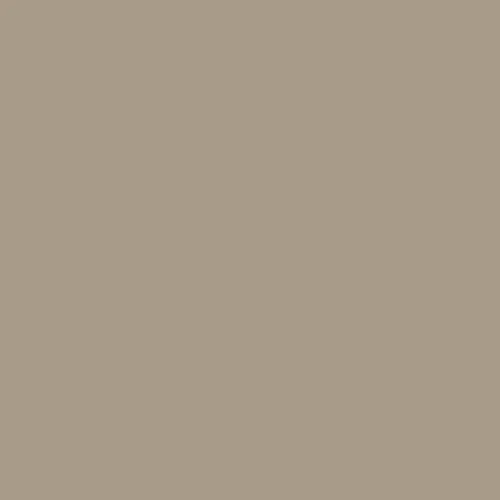 Image of Master Chroma Isofan - N9200 - Neutral Paint