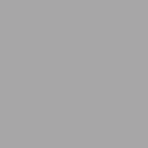 Image of Master Chroma Isofan - N9316 - Neutral Paint
