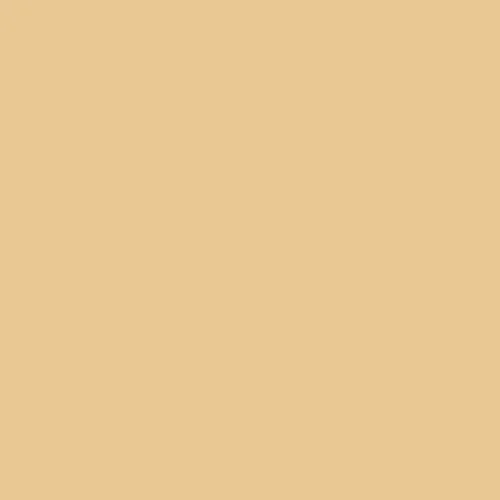 Image of Master Chroma Isofan - Y1045 - Yellow Paint