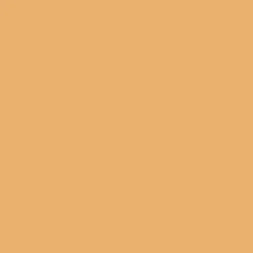 Image of Master Chroma Isofan - Y1121 - Yellow Paint