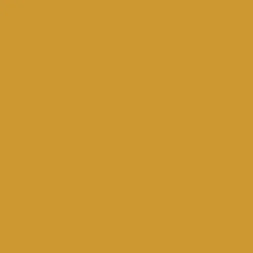 Image of Master Chroma Isofan - Y1232 - Yellow Paint