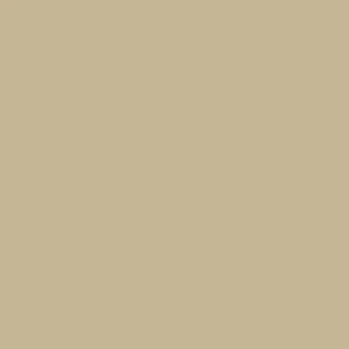 Image of Pantone 452 Paint