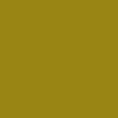 Image of Pantone 456 Paint