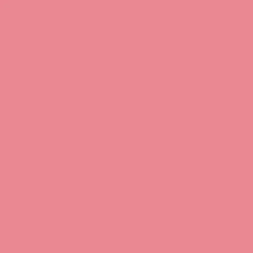 Image of Pantone 701 Paint