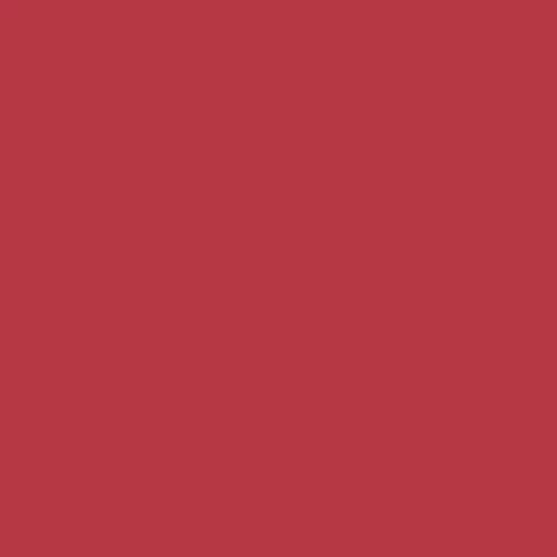Image of Pantone 703 Paint