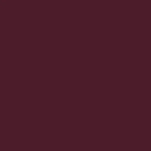 Image of RAL 010 20 25 Paint