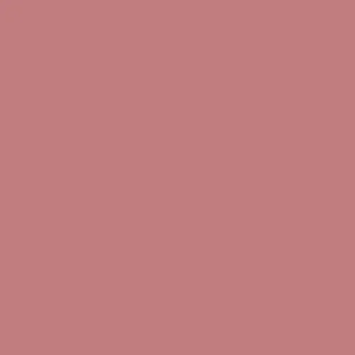 Image of RAL 020 60 30 Paint