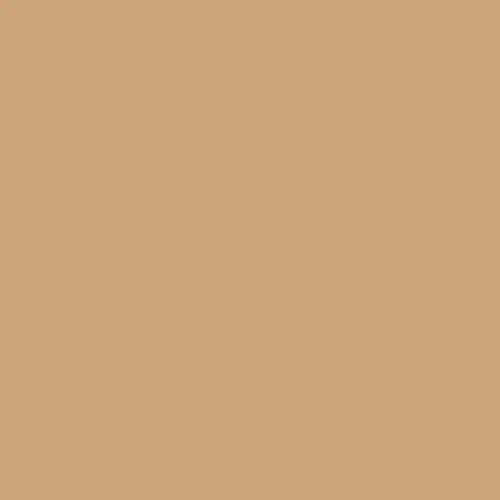Image of RAL 070 70 30 Paint