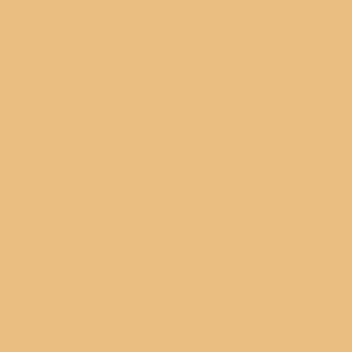Image of RAL 075 80 40 Paint